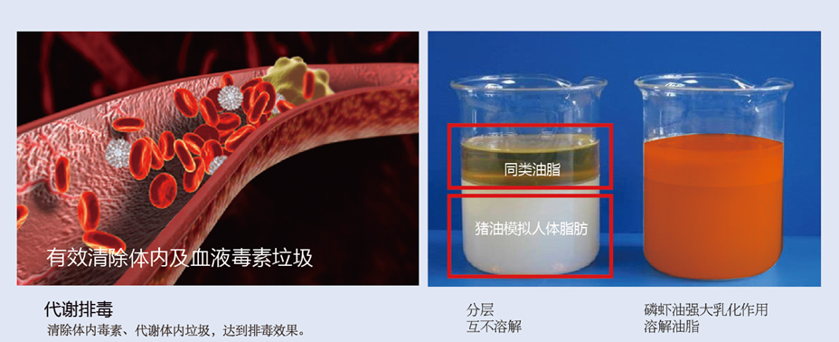 對比圖.png