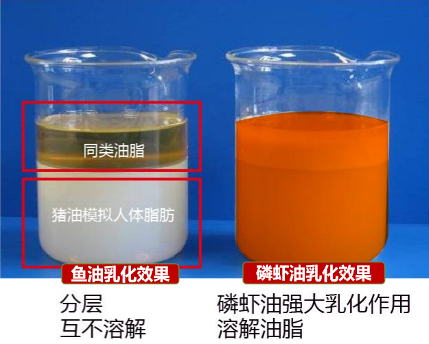 TIM截圖20200612104159.png