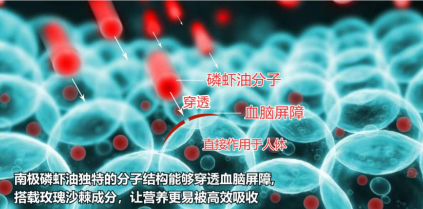 TIM截圖20200618152741.png