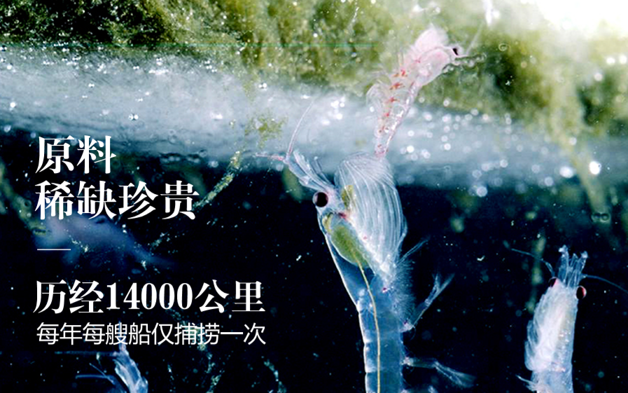 微信圖片_20200914110701.png
