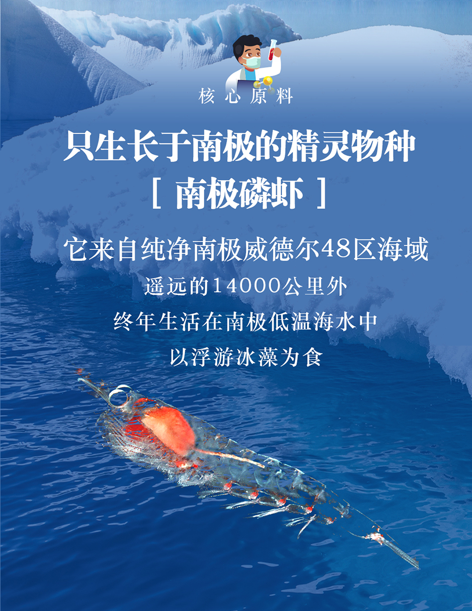 南極磷蝦油