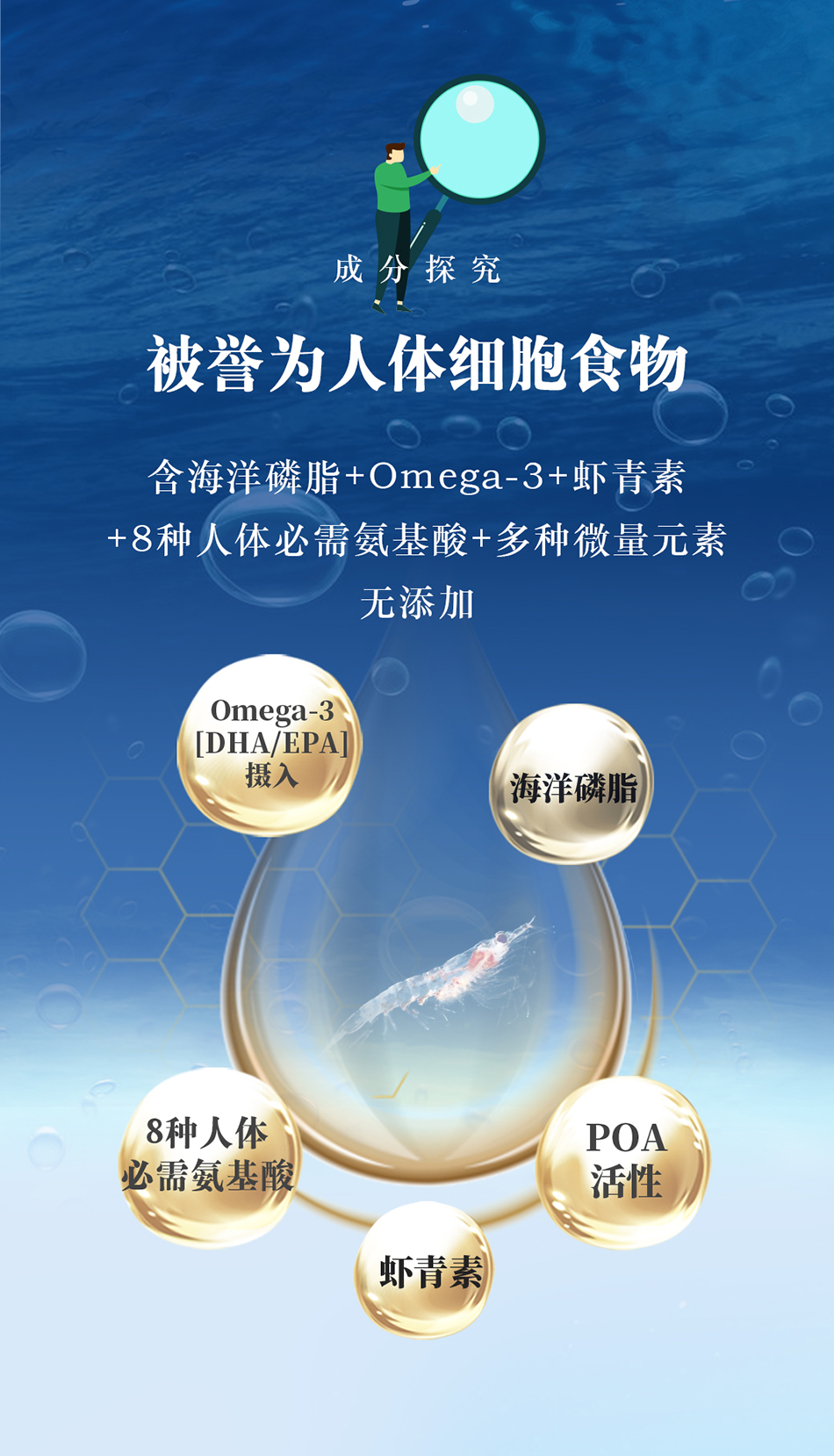 南極海寶被譽(yù)為人體細(xì)胞食物